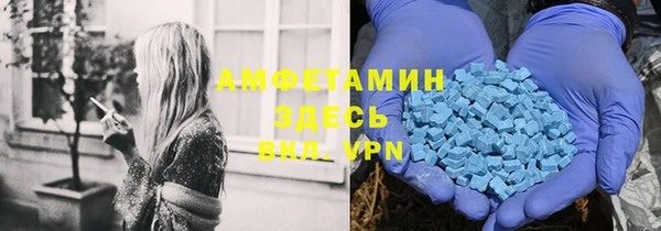 гидра Гусь-Хрустальный