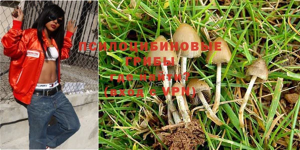 а пвп мука Гусиноозёрск