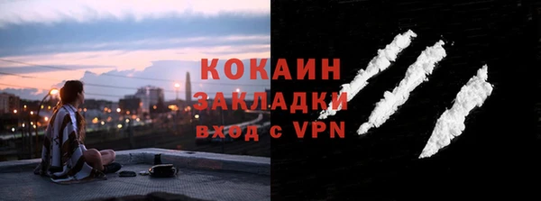 гидра Гусь-Хрустальный