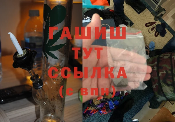 гидра Гусь-Хрустальный