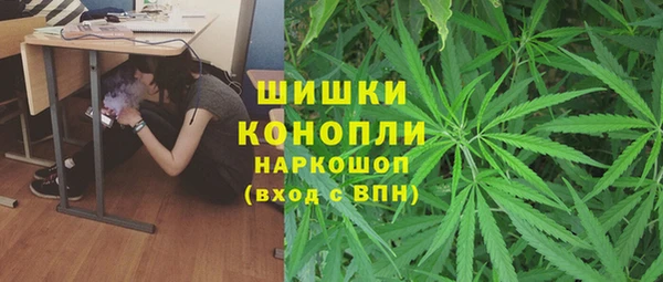 эйфоретик Гусев
