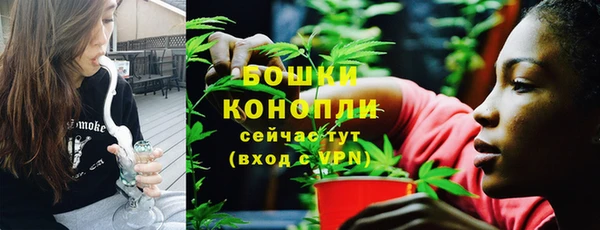 эйфоретик Гусев