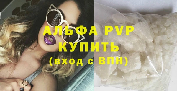 гидра Гусь-Хрустальный